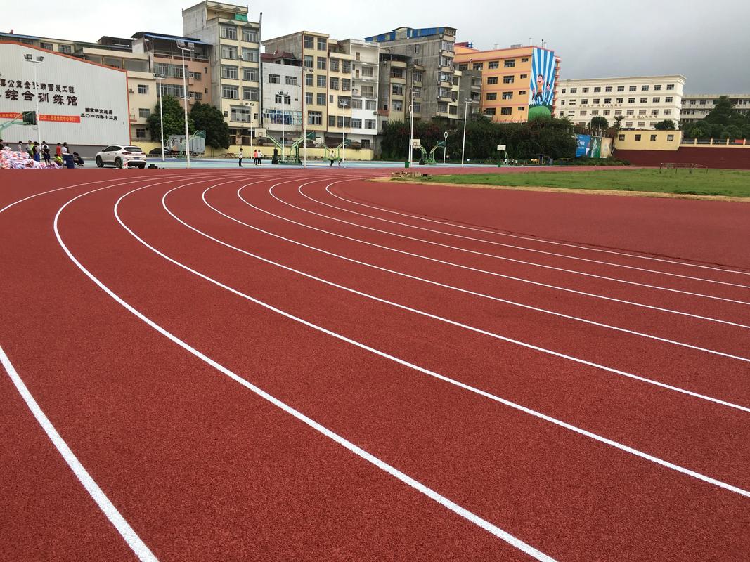 商洛市硅PU塑胶跑道材料 - 方案